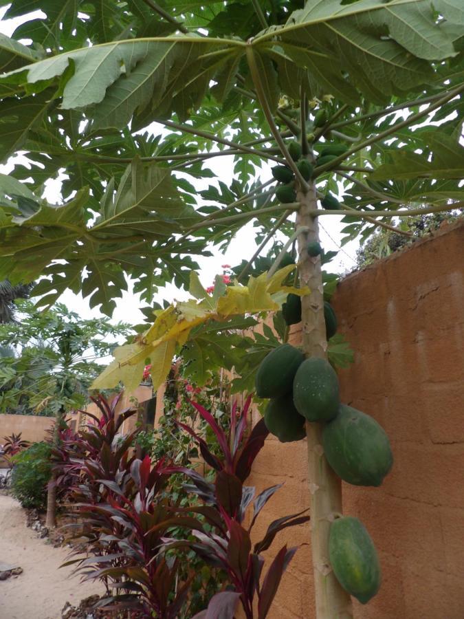 Pombo Kunda Villa Sanyang Exterior foto