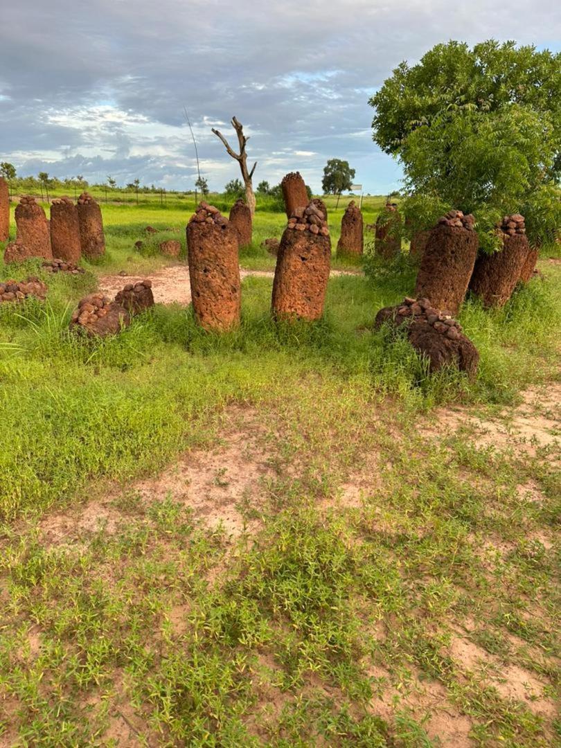 Pombo Kunda Villa Sanyang Exterior foto